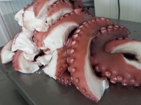 Pulpo Cocido (Octopus vulgaris)