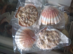 VIEIRA RELLENA  sin gluten