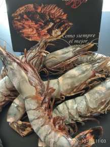 LANGOSTINO JUMBO