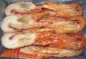 Langosta del Caribe